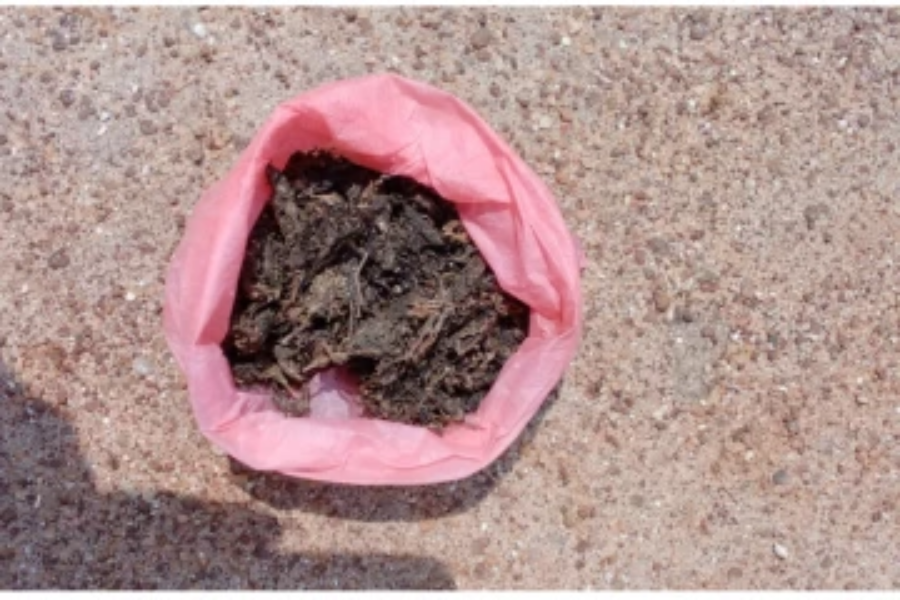 வேலணை சந்தியில் கஞ்சாவுடன் ஒருவர் கைது!