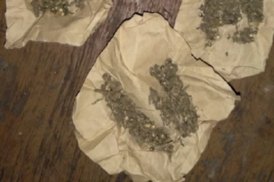 சாவகச்சேரியில் இளைஞன் ஒருவன்  புலனாய்வு பிரிவினால் கைது!