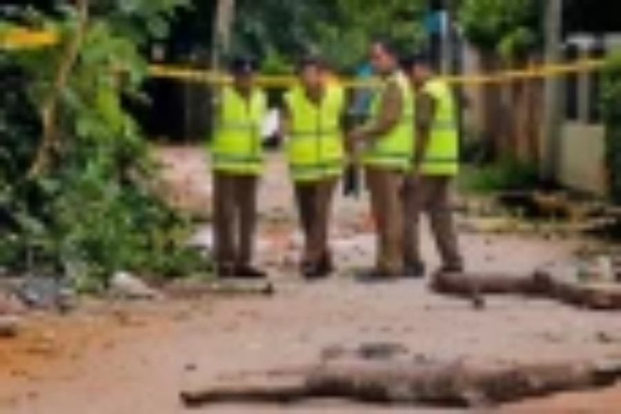 காதலனால் பெண்ணொருவர் கொடூரமாக தாக்கப்பட்டு கொலை!