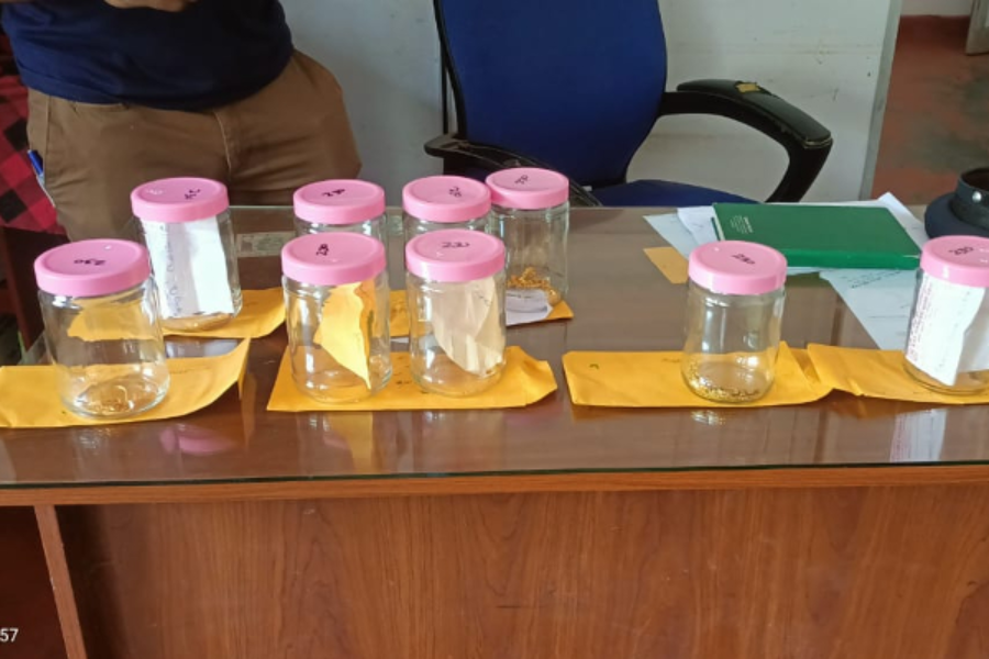 யாழில் தொடர்ந்து திருட்டு வேலைகளில் ஈடுபட்டு வந்தவர் கைது!