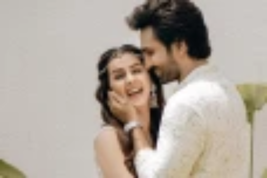 திருமணத்திற்கு பின்னர் நிக்கி கல்ராணிக்கு கிடைத்த புதிய வாய்ப்பு!