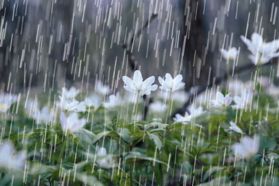 நாட்டில் மழை அதிகரிக்கும் வாய்ப்பு!