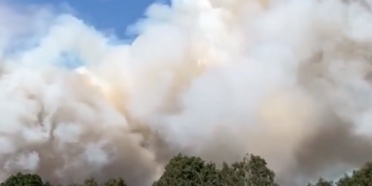 லண்டனில் பாரிய காட்டுதீ பரவல் குறித்து மக்களுக்கு எச்சரிக்கை விடுப்பு!