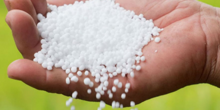 கிளிநொச்சி விவசாயிகளுக்கான யூரியா உர விநியோகம் விரைவில் ஆரம்பம்!