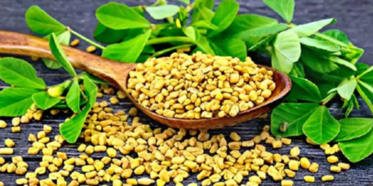 வெறும் வயிற்றில் வெந்தயம் உண்பதால் கிடைக்கும் நன்மைகள்