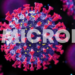 ஒமிக்ரொன் திரிபு குறித்து நாட்டு மக்களுக்கு விடுக்கப்பட்டுள்ள முக்கிய அறிவிப்பு!
