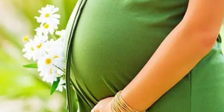 எரி பொருளுக்காக கர்ப்பிணி என நாடகமாடிய பெண் வசமாக மாட்டிக்கொண்டார்!