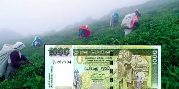 தேயிலை தோட்ட தொழிலார்களின் சம்பளம் உயர்வு!