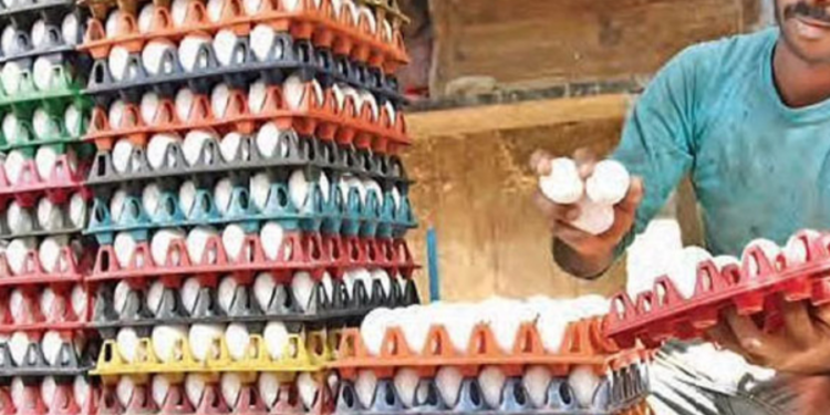 அதிக விலைக்கு முட்டை விற்பனை செய்பவர்களுக்கு எதிராக சட்ட நடவடிக்கை!