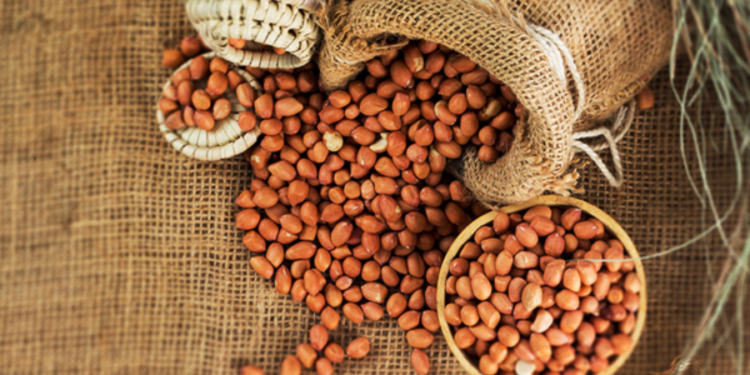 நாட்டில் நிலக்கடலையின் தேவை அதிகரிப்பு!