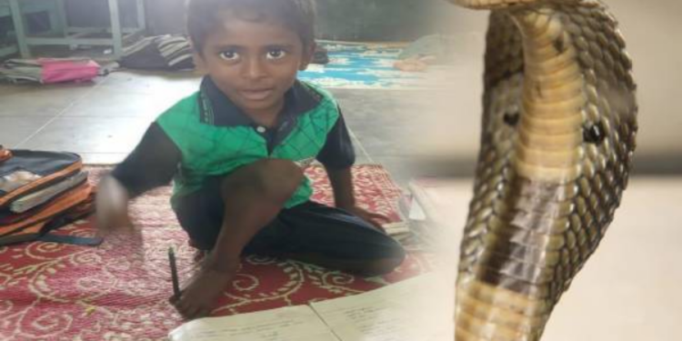 தாயை காப்பாற்ற சென்ற சிறுவனுக்கு நேர்ந்த துன்பம்