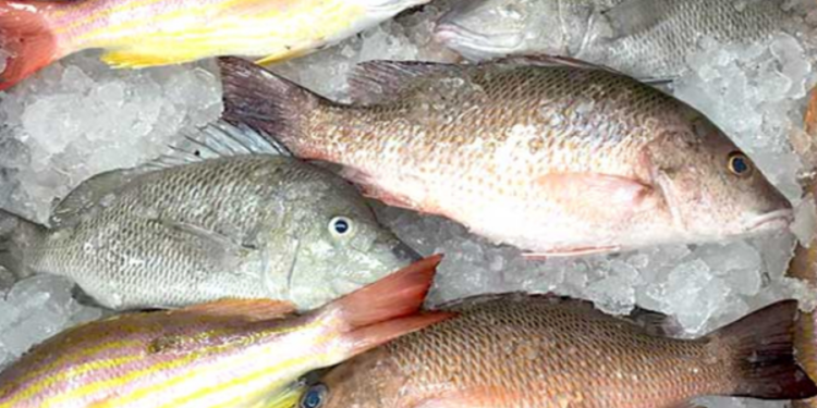 பாவனைக்கு உதவாத 5,670 கிலோ மீன்கள் மீட்பு!