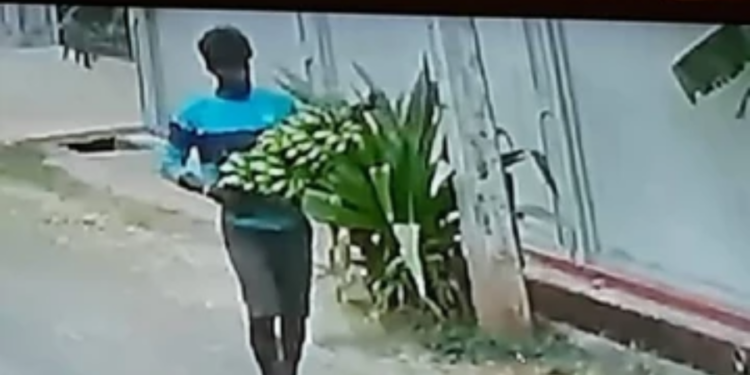 யாழில் பட்டபகலில் இடம்பெற்ற திருட்டு!