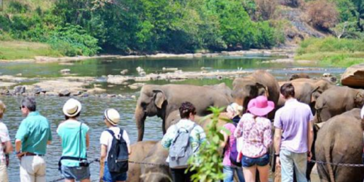 இலங்கையில் மற்றுமோர் கட்டண அதிகரிப்பால் சுற்றுலா பயணிகளுக்கு ஏற்ப்பட்டுள்ள சிக்கல்!