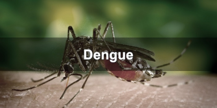 இரண்டாவது தடவையாகவும் டெங்கு காய்ச்சல் ஏற்ப்பட்டால் தென்படும் அறிகுறிகள்