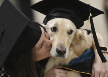 பிரபல நாடொன்றில் நாய்களுக்கு பட்டமளிப்பு விழா!