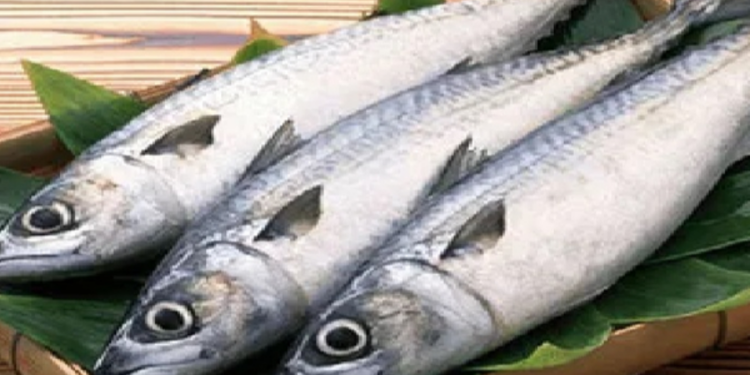 மீன்களின் விலை சற்று இறக்கம்!