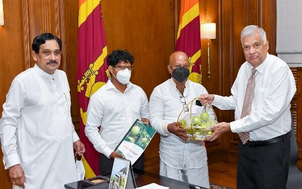 நாட்டில் விளைந்த ஆப்பிள் அறுவடை ஜனாதிபதியிடம் கையளிப்பு!