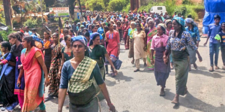 பெருந்தோட்ட தொழிலாளர்களுக்கு தீபாவளி முற்பணம் வழங்க தீர்மானம்!