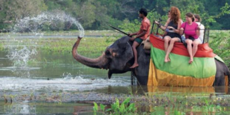 நாட்டிற்கு வரும் சுற்றுலா பயணிகளின் எண்ணிக்கை அதிகரிப்பு!