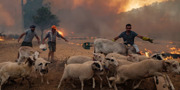 உலகின் சில பகுதிகள் குறித்து ஐக்கிய நாடுகள் மன்றம் விடுத்துள்ள எச்சரிக்கை!