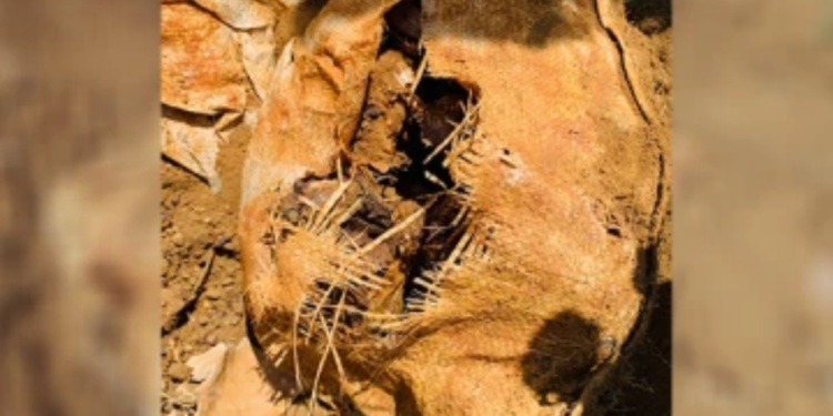 யாழில் தனியார் காணி ஒன்றிலிருந்து குண்டுகள் மீட்பு!