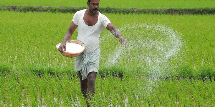 விவசாயிகளின்   பெரும்போக விளைச்சலுக்கு தேவையான உரம் குறித்து வெளியாகியுள்ள மகிழ்ச்சியான செய்தி!