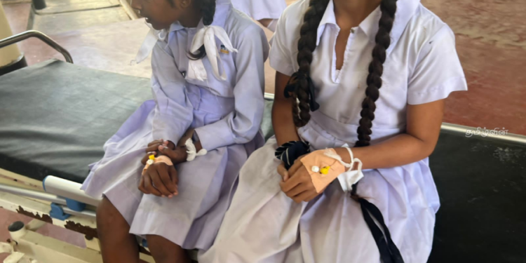 வவுனியா பாடசாலை ஒன்றில் ஆசிரியர்களும் மாணவர்களும் குளவிக்கொட்டுக்கு இலாக்காகி வைத்தியசாலையில் அனுமதி!