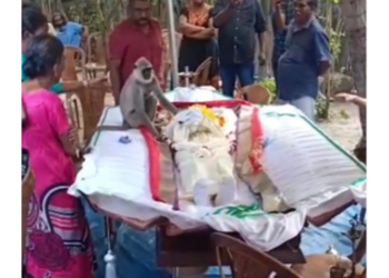 மட்டக்களப்பில் இறந்தவருக்கு அஞ்சலி செல்லுத்தி கண்ணீர் சொரிந்த குரங்கு