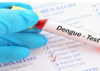 மேல் மாகாணத்தில் அதிகரிக்கும் டெங்கு தொற்று குறித்து பொது மக்களுக்கு எச்சரிக்கை விடுப்பு!