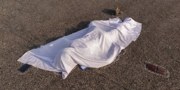 தாயாரின் இழப்பை தாங்க இயலாத மகனும் உயிரிழப்பு!