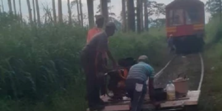 தடம்புரள்வு காரணமாக தடைபட்ட மலையக தொடருந்து சேவைகள் மீண்டும் வழமைக்கு திரும்பியது