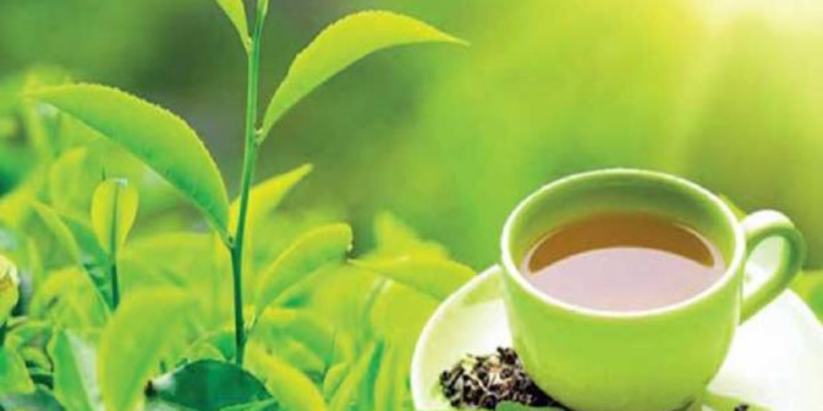 50 ஆண்டுகளுக்கு பின்னர் இந்தியாவிடம் இருந்து தேயிலையை கொள்வனவு செய்யும் சிரியா