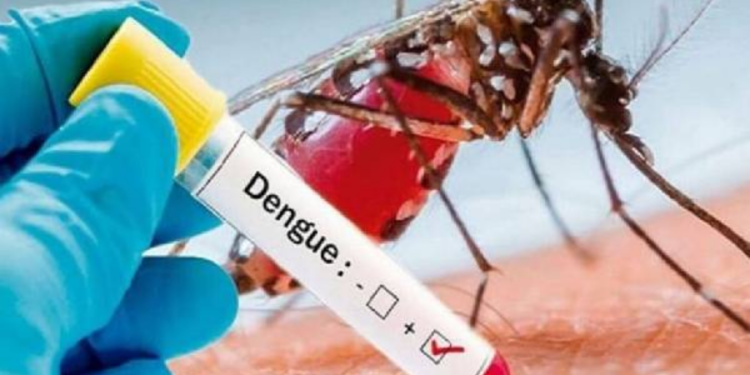 டெங்கு குறித்து கொழும்பு வாழ் மக்களுக்கு விடுக்கப்பட்டுள்ள எச்சரிக்கை!
