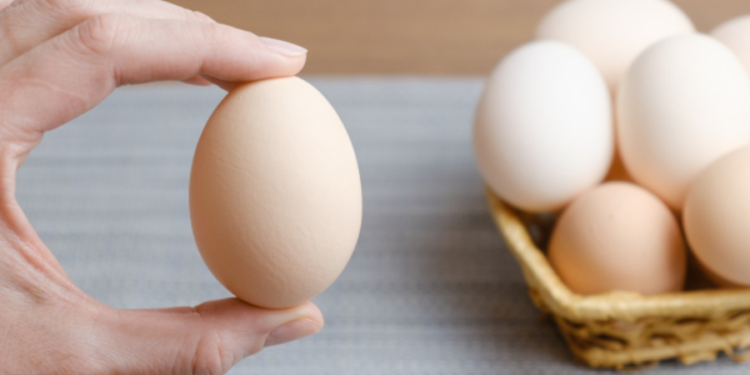 முட்டை விலை குறித்து வெளியாகியுள்ள செய்தி!