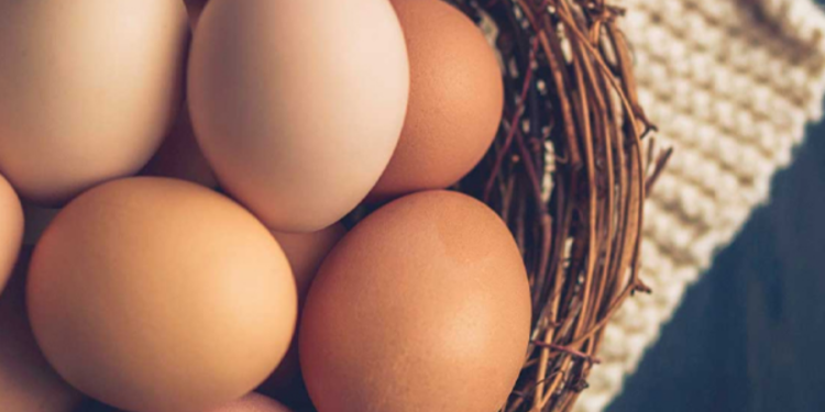 ஐந்து முட்டைகளை விற்ற நபருக்கு ஒரு இலட்சம் ரூபா அபராதம்!