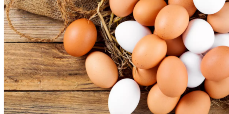 நாட்டில் முட்டைக்கு தட்டுபாடு ஏற்படும்!