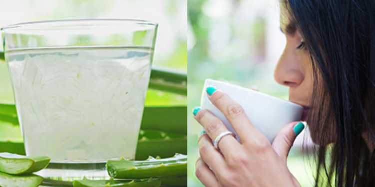 கற்றாழையின் மருத்துவ குணங்கள்