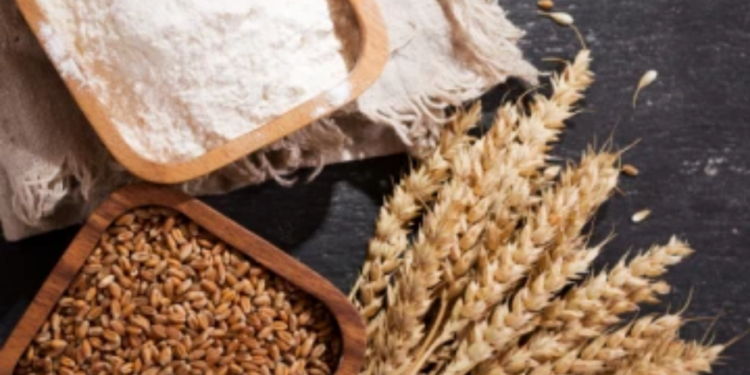 கோதுமை மாவின் விலையில் ஏற்ப்பட்டுள்ள மாற்றம்!