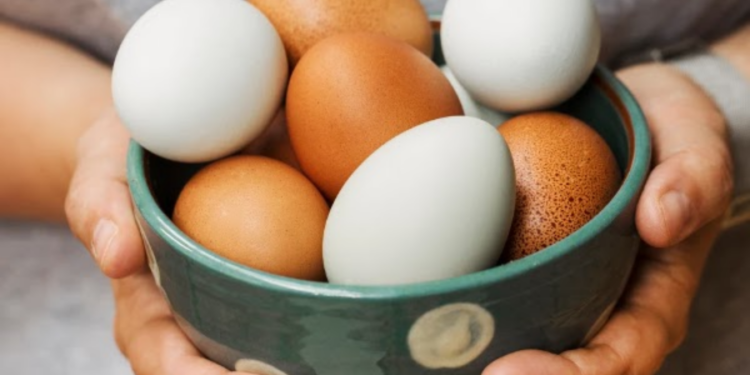 முட்டையின் நிர்ணய விலையை நிர்ணயிக்க கோரிக்கை!