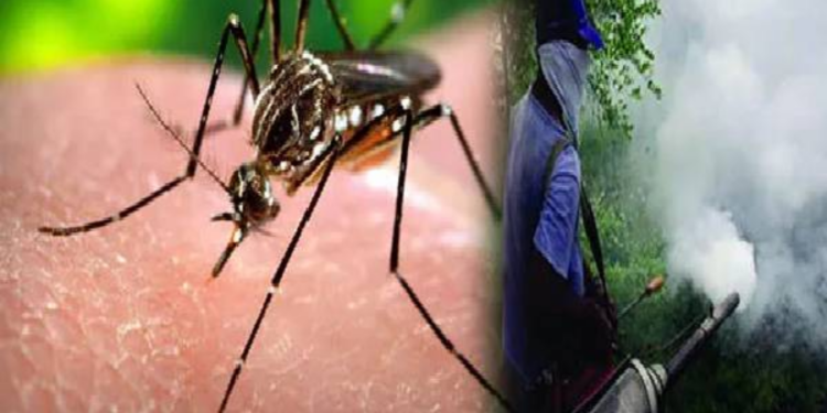 நாட்டில் டெங்கு நோயாளர்களின் எண்ணிக்கை அதிகரிப்பு!
