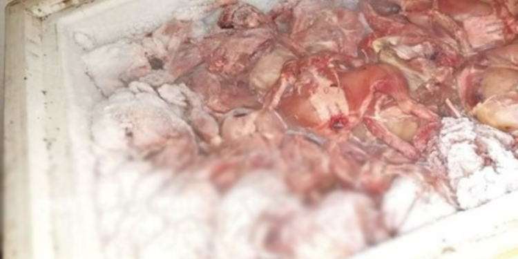 யாழ் உணவகம் ஒன்றில் சுகாதார கேடு தொடர்பில் எச்சரிக்கை விடுத்த அதிகாரிகள்!