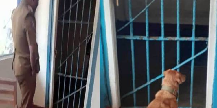 கைது செய்யப்பட்ட உரிமையாளரை தேடி காவல் நிலையம் சென்ற நாய்!