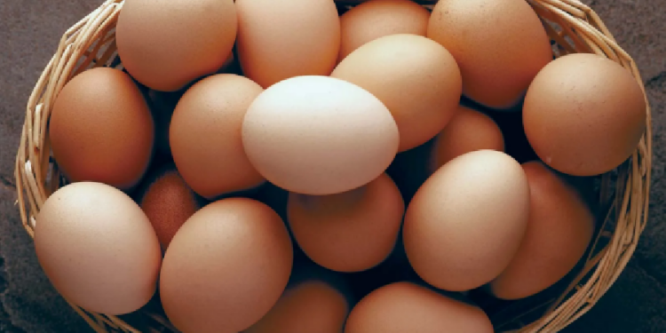 முட்டை விற்பனையை நிறுத்த நடவடிக்கை!