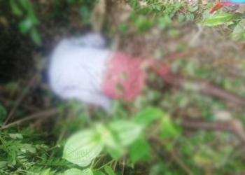 தோட்டத்தில் வசித்து வந்த நபர் ஒருவர் சடலமாக மீட்பு!