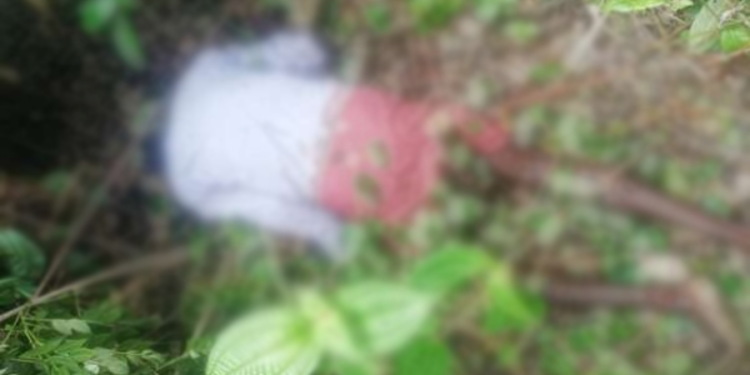 தோட்டத்தில் வசித்து வந்த நபர் ஒருவர் சடலமாக மீட்பு!