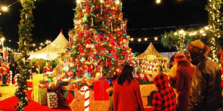 இங்கிலாந்தில் கிறிஸ்துமஸ் ரயில் பயணம் ஆரம்பமானது!