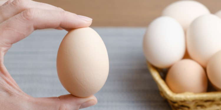 முட்டையின் இறுதி விலையை கணக்கிட்டு சமர்ப்பிக்க கோரிக்கை!