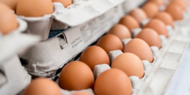 முட்டை விலையில் ஏற்ப்பட இருக்கும் மாற்றம்!