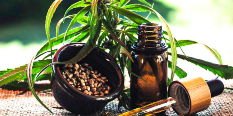 ஆயுள்வேத திணைக்களத்தின் அனுமதியுடன்  கஞ்சா ஏற்றுமதியை தொழிலாக மேற்கொள்ள தீர்மானம்!